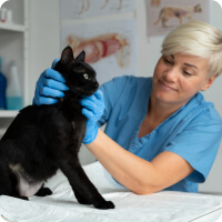 Horváth Daniella portréfotó