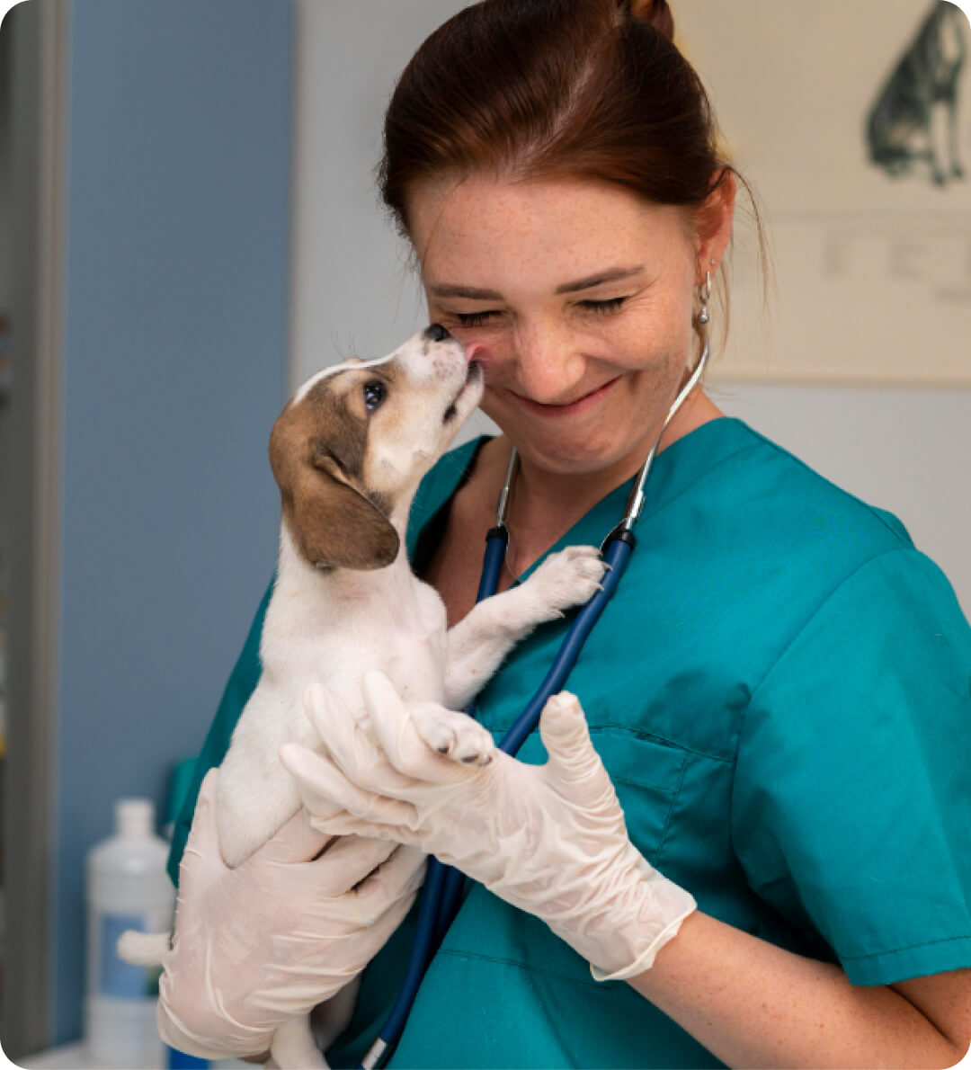 Dr. Katona Ramóna bemutatkozás