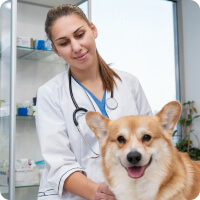 Tóth Orsolya portréfotó